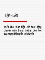 Triển khai thực hiện các hoạt động chuyên môn trong trường tiểu học qua mạng thông tin trực tuyến