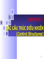 Các Cấu Trúc Điều Khiển(Control Structures)