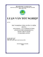 Luận văn tốt nghiệp Thử nghiệm ương nuôi cá xiêm (baetta splendes) và cá bống tượng (oxyeleotris marmorata) bằng trùn giấm (tubatrix aceti) - ĐH Nông lâm TP Hồ Chí Minh