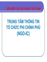 Trung Tâm Thông Tin Tổ Chức Phi Chính Phủ (NGO-IC)