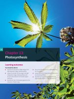 Ebook Cambridge international AS and A level  Biology coursebook Part 2