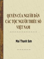 Bài Giảng Quyền Của Người Dân Các Tộc Người Thiểu Số Việt Nam