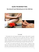 Xây dựng kế hoạch marketting dự án hạ LONG spa