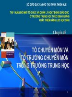 Chuyên Đề Tổ Chuyên Môn Và Tổ Trưởng Chuyên Môn Trong Trường Trung Học