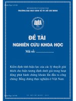 Kiểm định tính hiệu lực của các lý thuyết giải thích cho hiện tượng định dưới giá trong hoạt động phát hành chứng khoán lần đầu ra công chúng Bằng chứng thực nghiệm ở Việt Nam