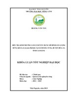 Điều tra sinh trưởng làm cơ sở xây dựng mô hình sản lượng rừng keo lai (Acacia hybrids) tại xã Hoàng Tung huyện Hòa An tỉnh Cao Bằng