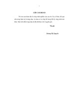 Luận Án Tiến sĩ Đánh giá khả năng sinh trưởng, phát triển của một số tổ hợp ngô lai và biện pháp kỹ thuật cho tổ hợp lai triển vọng phục vụ sản xuất ngô vùng Đông Bắc