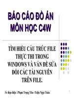 Đồ Án Tìm Hiểu Cấu Trúc File Thực Thi Trong Windows Và Vấn Đề Sửa Đổi Các Tài Nguyên Trên File