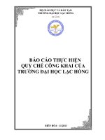BÁO CÁO THỰC HIỆN QUY CHẾ CÔNG KHAI CỦA TRƯỜNG ĐẠI HỌC LẠC HỒNG