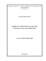 Luận án Tiến sĩ Hóa học Nghiên cứu biến tính vật liệu PbO2 ứng dụng làm sen sơ điện hóa