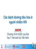 Các bệnh đường tiêu hóa ở người nhiễm HIV