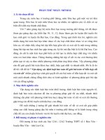 Sáng kiến kinh nghiệm Vận dụng các định luật bảo toàn để giải bài toán về hỗn hợp sắt và oxit sắt