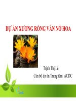 DỰ ÁN XƯƠNG RỒNG VẪN NỞ HOA