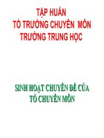 SINH HOẠT CHUYÊN ĐỀ CỦA TỔ CHUYÊN MÔN