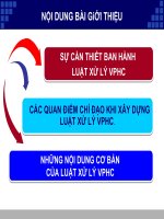 Sự Cần Thiết Ban Hành Luật Xử Lý Vi Phạm Hành Chính