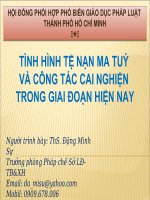 Tình Hình Tệ Nạn Ma Tuý Và Công Tác Cai Nghiện Trong Giai Đoạn Hiện Nay