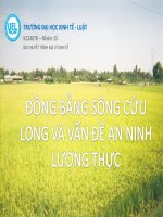 Đồng Bằng Sông Cửu Long Và Vấn Đề An Ninh Lương Thực