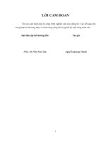 Luận án Tiến sĩ Nghiên cứu quá điện áp sét và bảo vệ chống sét cho tua bin gió có kết nối lưới điện