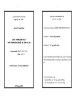 Hoàn thiện chính sách phát triển công nghiệp tại tỉnh Gia Lai