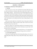 Nghiên cứu quy trình sản xuất miến sợi từ tinh bột khoai nưa (Amorphophally infolicem)