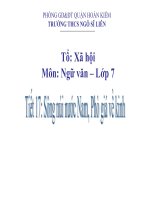 Bài Giảng Sông Núi Nước Nam, Phò Giá Về Kinh