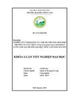 Nghiên cứu ảnh hưởng của chế độ che sáng đến sinh trưởng của cây Trẩu (Vernicia montana Lour) giai đoạn vườn ươm tại trường Đại Học Nông Lâm Thái Nguyên