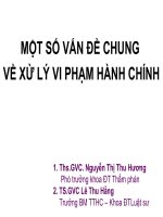 Một Số Vấn Đề Chung Về Xử Lý Vi Phạm Hành Chính