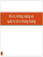 Rủi ro, khủng hoảng và quản lý rủi ro khủng hoảng