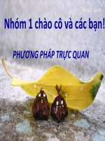 Bài thuyết trình PHƯƠNG PHÁP TRỰC QUAN