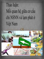 Slide phân tích chi tiêu công