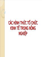 Các Hình Thức Tổ Chức Kinh Tế Trong Nông Nghiệp