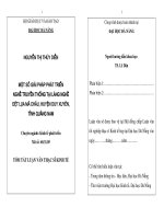 Một số giải pháp phát triển nghề truyền thống tại làng nghề dệt lụa Mã Châu, huyện Duy Xuyên, tỉnh Quảng Nam