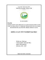 Đánh giá khả năng sinh sản của lợn nái ngoại CP40 và CP42 nuôi tại trại công ty TNHH một thành viên sản xuất kinh doanh thương mại Trường Thịnh tỉnh Bắc Giang