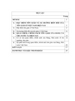 TIỂU LUẬN   đặc điểm, XU HƯỚNG BIẾN đổi tôn GIÁO ở VIỆT NAM và QUAN điểm, CHÍNH SÁCH tôn GIÁO của ĐẢNG và NHÀ nước TA HIỆN NAY