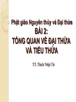 Tổng Quan Về Đại Thừa Và Tiểu Thừa