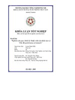 Nghiên cứu quy trình kỹ thuật sinh sản nhân tạo cá vền megalobrama terminalis