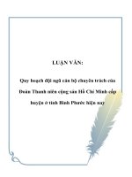 Quy hoạch đội ngũ cán bộ chuyên trách của Đoàn Thanh niên cộng sản Hồ Chí Minh cấp huyện ở tỉnh Bình Phước hiện nay