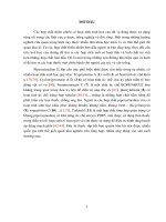 Luận án Tiến sĩ Hóa học Nghiên cứu tổng hợp các hợp chất piperazinedion