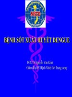 An Toàn Người Bệnh, Vấn Đề Toàn Cầu- Thực Trạng Và Giải Pháp