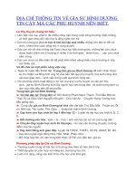 gia sư dạy kèm bình dương tin cậy uy tín chất lượng( giasubinhduong.org)