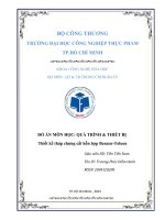 Thiết kế tháp chưng cất hỗn hợp benzen toluen 