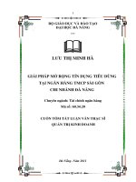 Giải pháp mở rộng tín dụng tiêu dùng tại ngân hàng TMCP Sài Gòn chi nhánh Đà Nẵng.