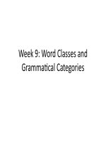 Syntax 1   word class and grammatical categories