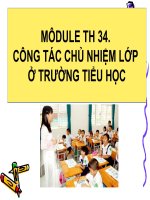Môdule Công Tác Chủ Nhiệm Lớp Ở Trường Tiểu Học