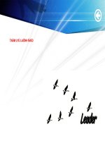 Nghệ thuật lãnh đạo Chương 2