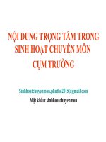 Nội Dung Trọng Tâm Trong Sinh Hoạt Chuyên Môn Cụm Trường