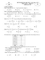 De on tap toan 10 hk2 