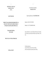 Nghiên cứu đặc điểm sinh thái dinh dưỡng của loài chà vá chân xám (Pygathrix Cinerea) ở vườn quốc gia Kon Ka Kinh, tỉnh Gia Lai