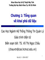 DM BI   chapter 1   overview