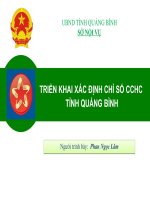 TRIỂN KHAI XÁC ĐỊNH CHỈ SỐ CCHC TỈNH QUẢNG BÌNH